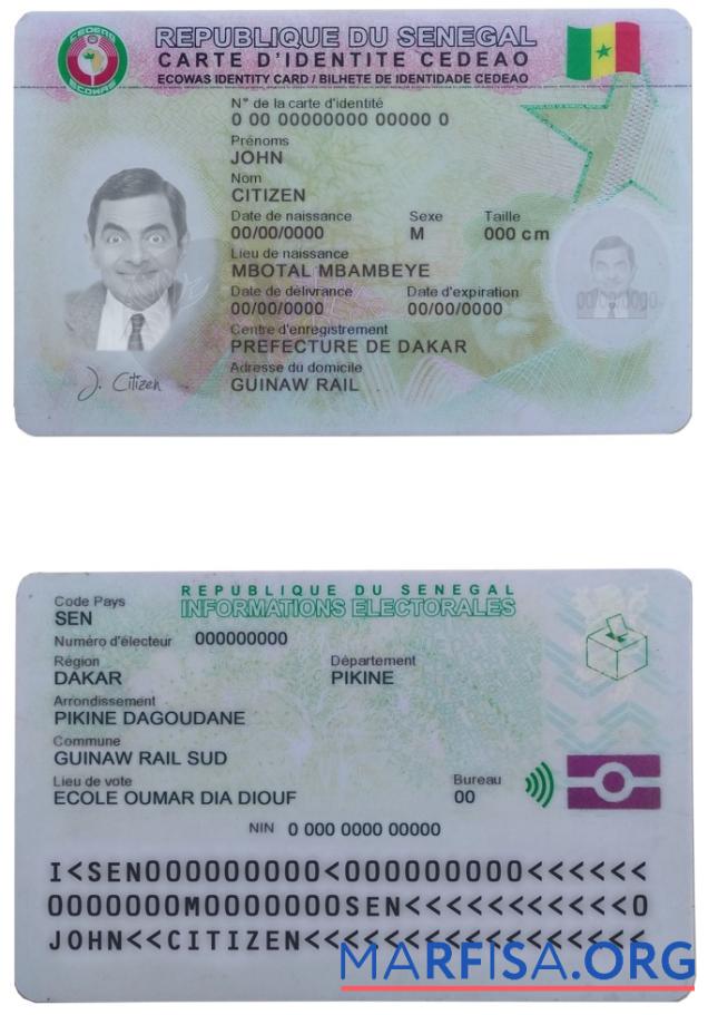 Blank Senegal ID real example